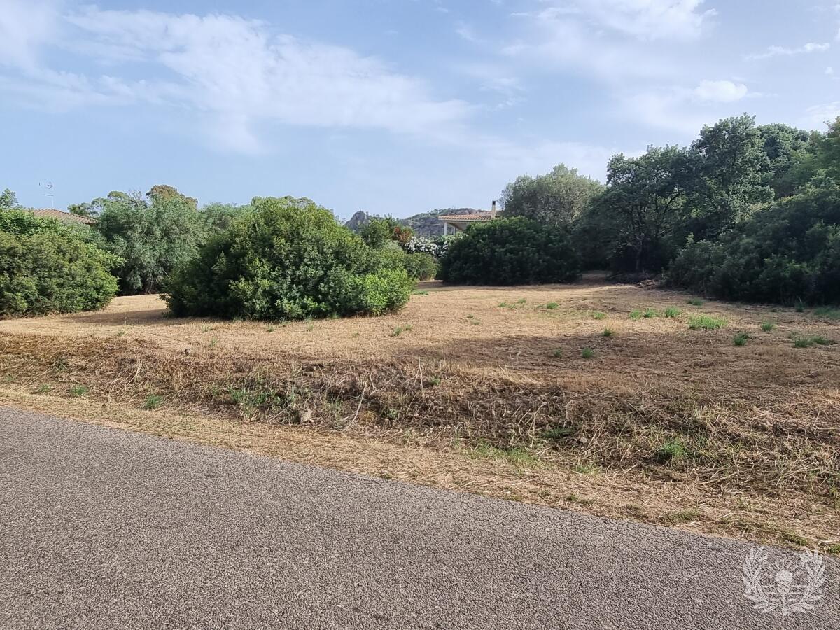 terreno edificabile di 2000 mq