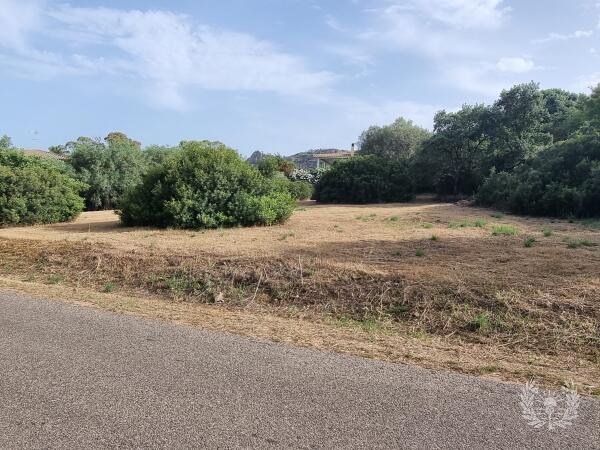 terreno edificabile di 2000 mq